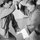 Ta Lu Pushing Hands Sommer 2013