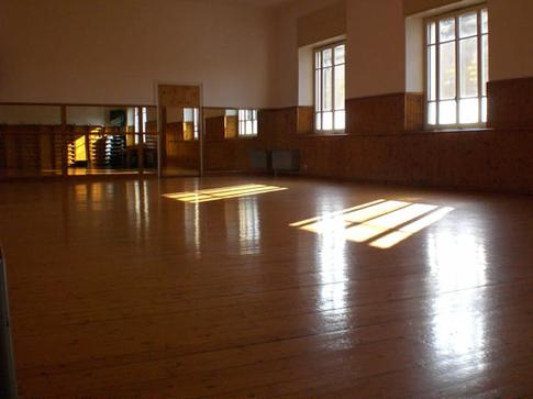 Ronin Palestra